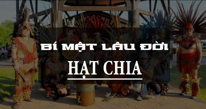 hạt chia là hạt gì