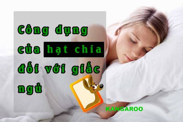 Công dụng của hạt chia đối với giấc ngủ