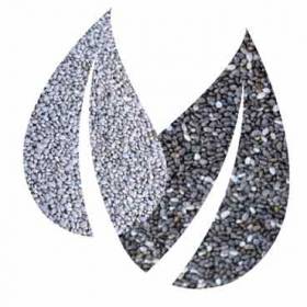 hạt chia quan trọng đối với sức khỏe