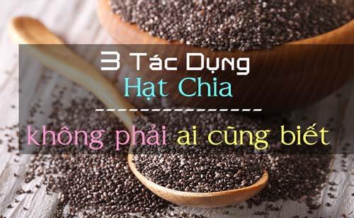 Tác dụng của hạt chia