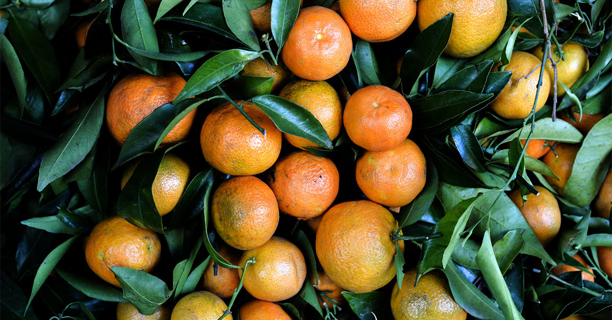 clementines tangerines