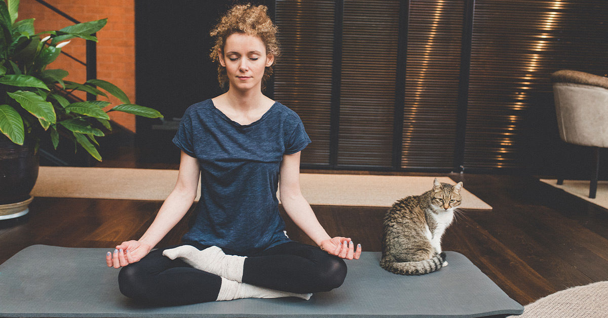 viên uống nhau thai cừu của úc