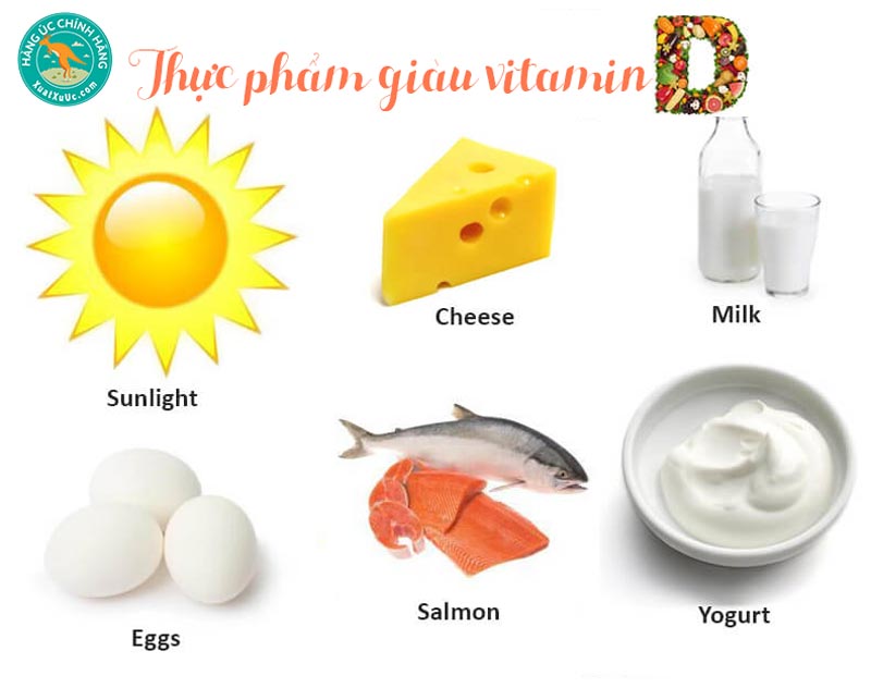 Vitamin-D3-có-ở-đâu