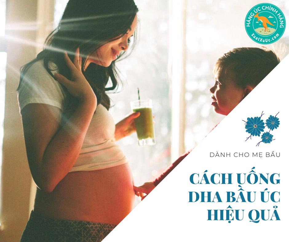 cách uống dha bầu úc