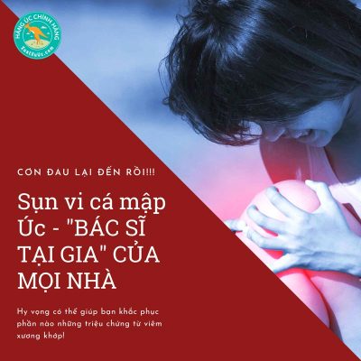 Sụn vi cá mập Úc