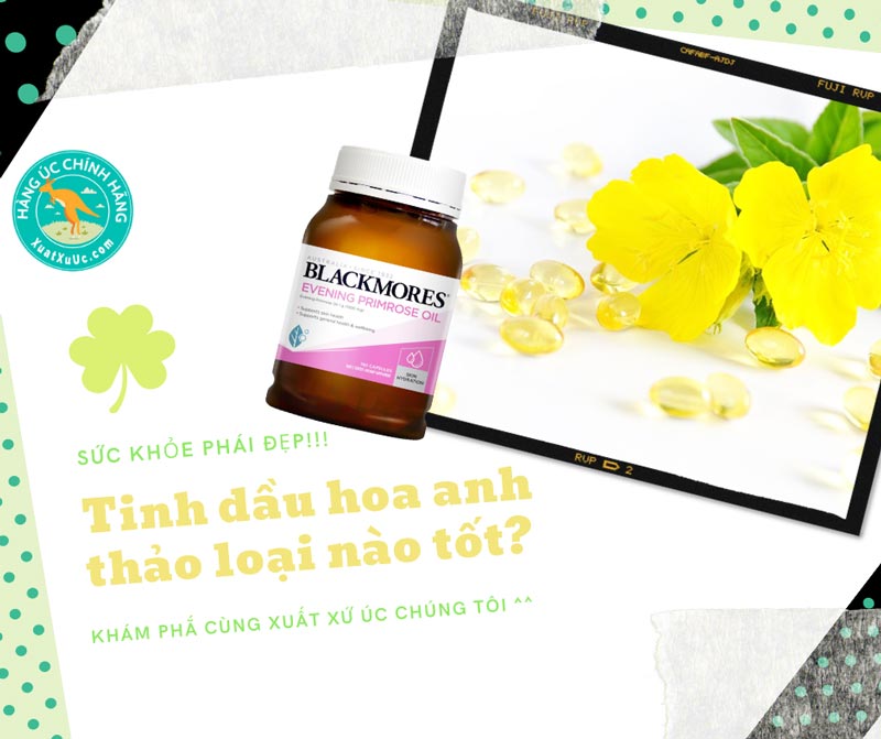Tinh dầu hoa anh thảo Úc